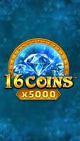 16 Coins™ x5000