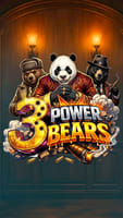 3 Power Bears