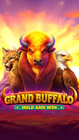 Grand Buffalo Hold and Win