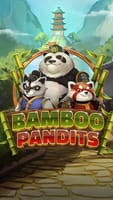 Bamboo Pandits