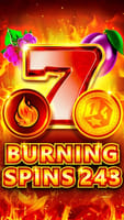 Burning Spins 243