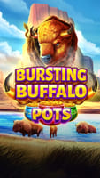 Bursting Buffalo Pots