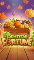Farmstead Fortune