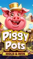 Piggy Pots