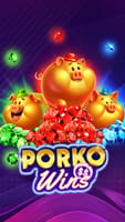 Porko Wins