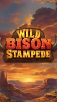 Wild Bison Stampede