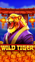 Wild Tiger